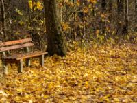 Stillleben im Herbst bei Sonnenschein